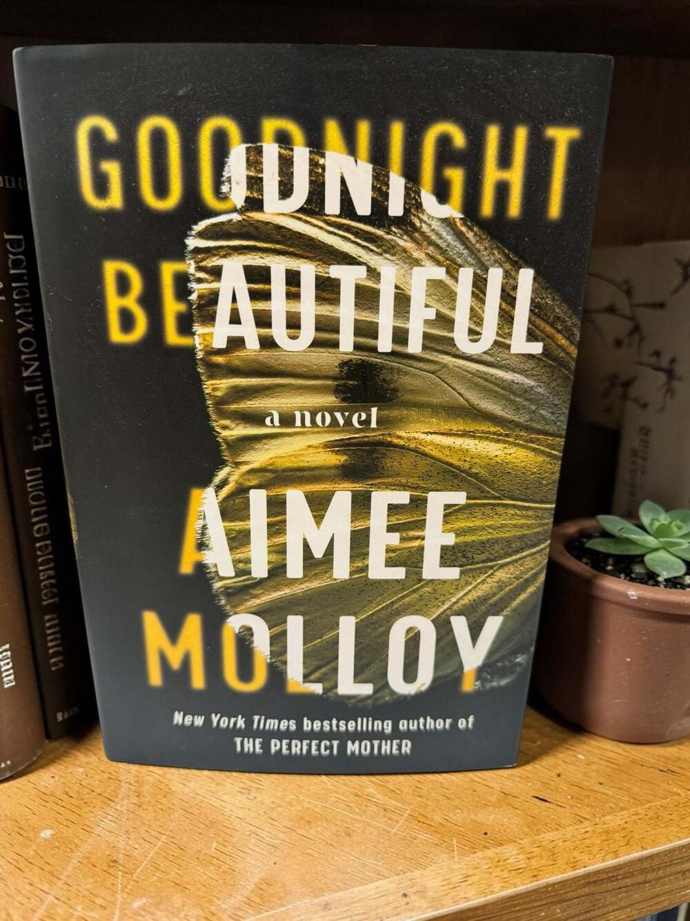 Goodnight Beautiful by Aimee Molloy Hardcover Book